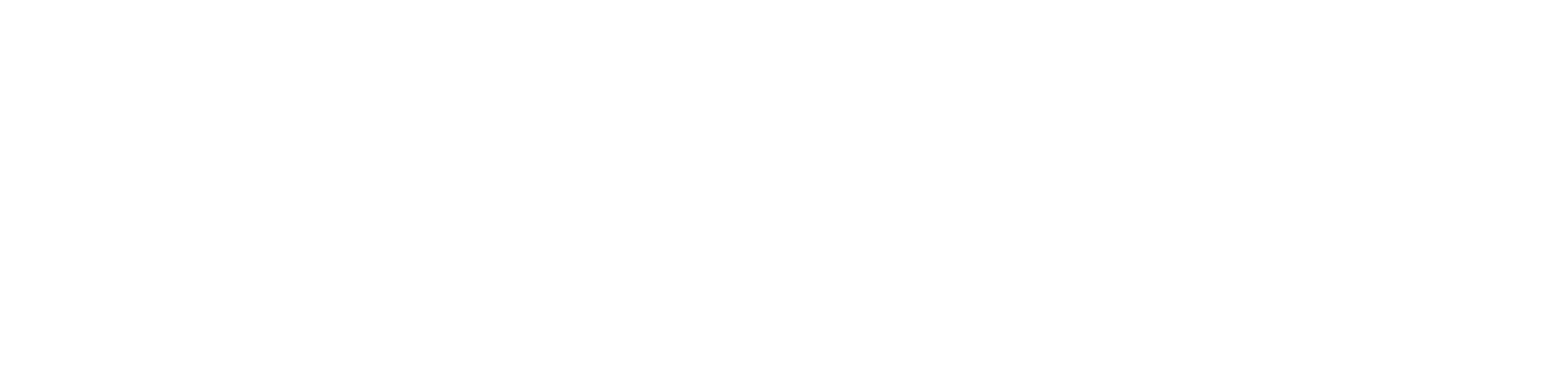 Fitovision